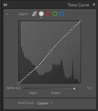 Screenshot of Tone Curve section after editing