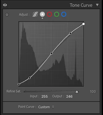 Screenshot of point curve in develop panel