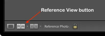 Screenshot of Reference View button in Lightroom