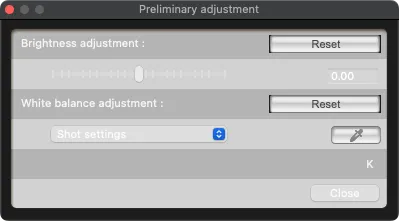 Screenshot of preliminary adjustment dialog